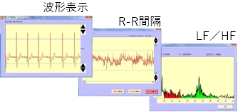自律神経の見える化