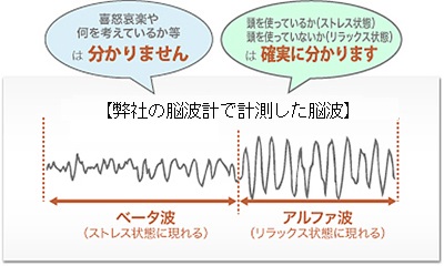 脳波でなにがわかるの？